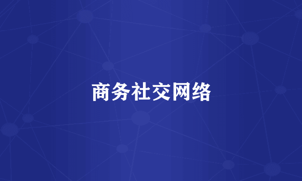 商务社交网络