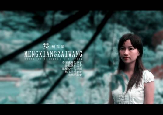 梦想在望（李涛主演电影）