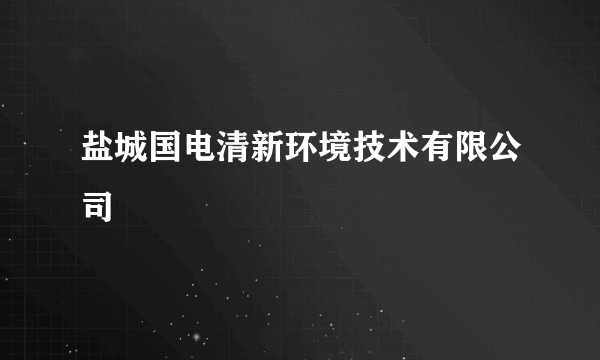 盐城国电清新环境技术有限公司