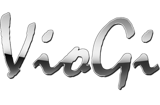 VioGi凯美瑞车友会