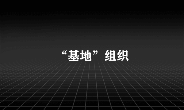 “基地”组织