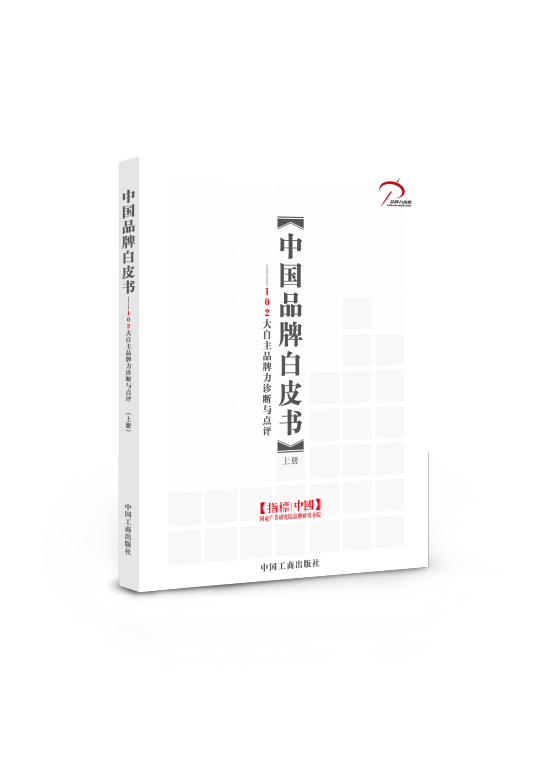 中国品牌白皮书（2014年国家广告研究院品牌研究分院主持编撰的图书）