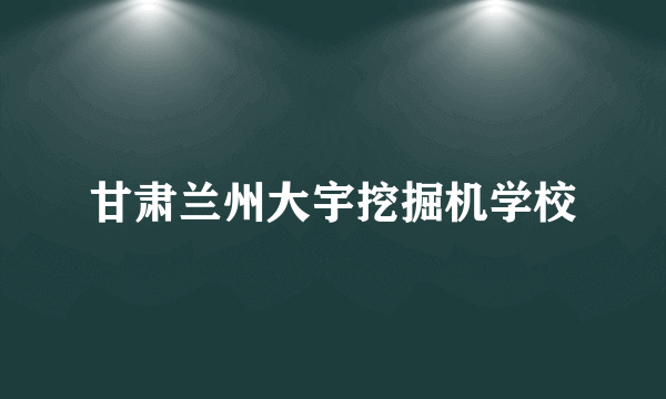 甘肃兰州大宇挖掘机学校