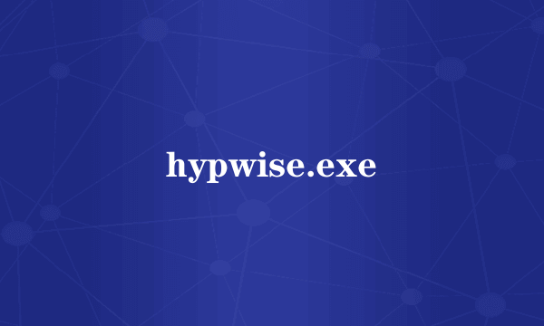 hypwise.exe