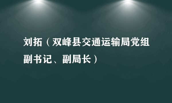 刘拓（双峰县交通运输局党组副书记、副局长）