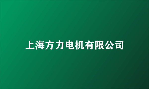 上海方力电机有限公司