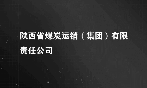 陕西省煤炭运销（集团）有限责任公司