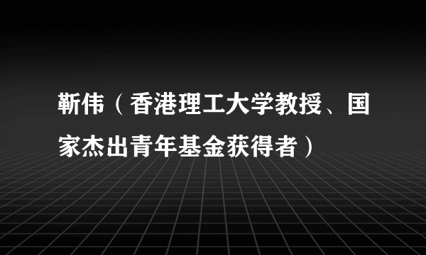 靳伟（香港理工大学教授、国家杰出青年基金获得者）