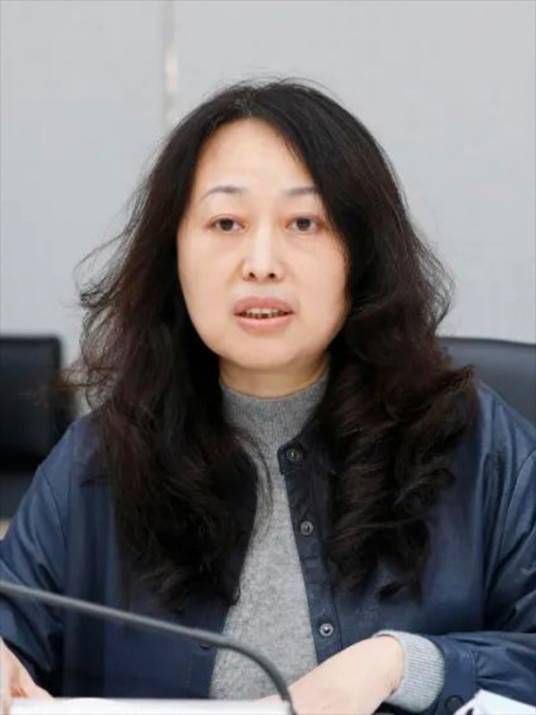 宋征（国家开发银行湖南省分行党委书记、行长）
