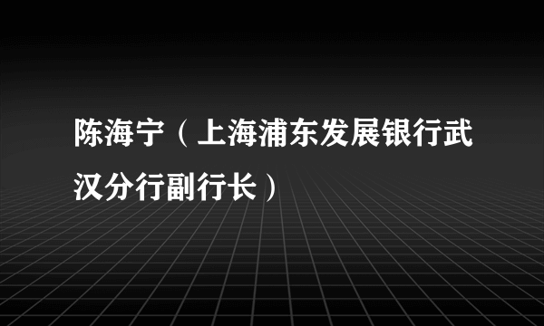 陈海宁（上海浦东发展银行武汉分行副行长）