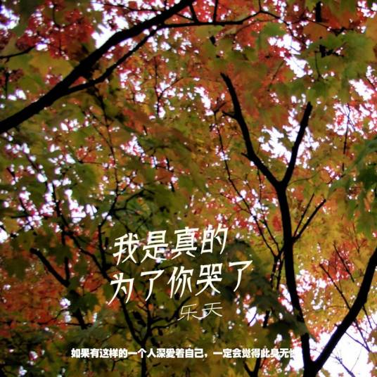 我是真的为了你哭了