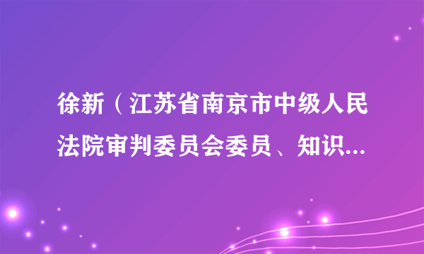 徐新（江苏省南京市中级人民法院审判委员会委员、知识产权审判庭庭长）