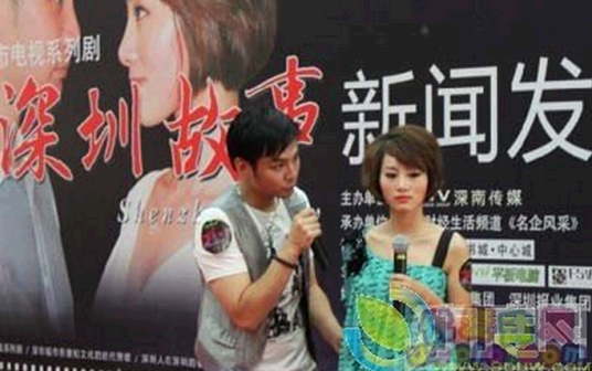 深圳故事（2011年龙青霞主演的电视剧）