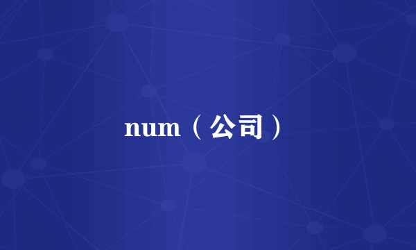 num（公司）