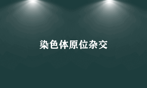 染色体原位杂交