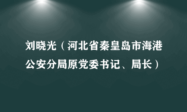 刘晓光（河北省秦皇岛市海港公安分局原党委书记、局长）