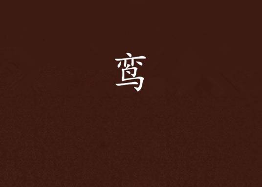 鸾（天夕著小说）