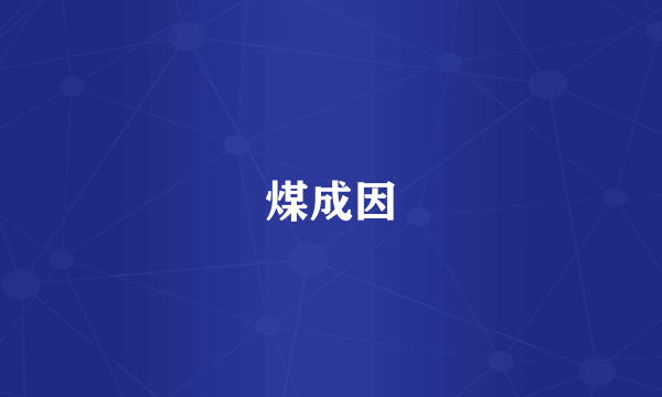 煤成因