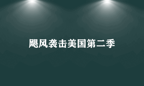 飓风袭击美国第二季