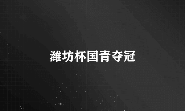 潍坊杯国青夺冠