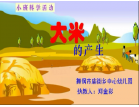 小班科学《大米的产生》