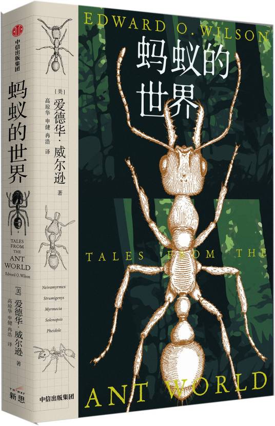 蚂蚁的世界（2022年1月中信出版集团出版的图书）