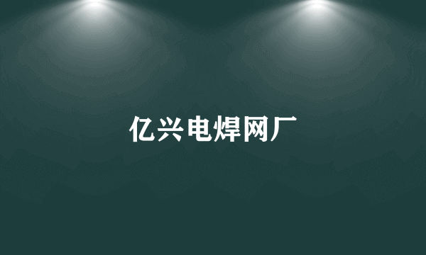 亿兴电焊网厂