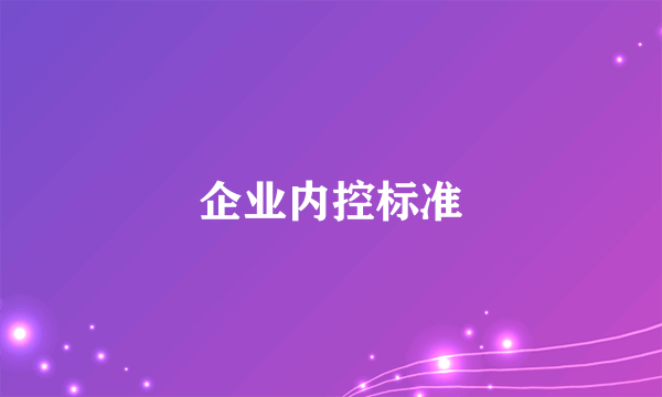 企业内控标准