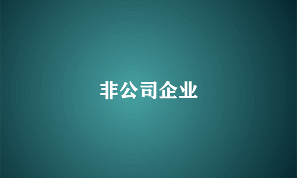 非公司企业