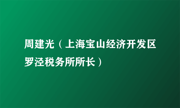 周建光（上海宝山经济开发区罗泾税务所所长）