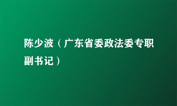 陈少波（广东省委政法委专职副书记）