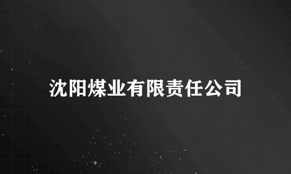 沈阳煤业有限责任公司