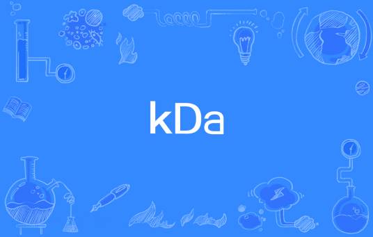 kDa（游戏定义）