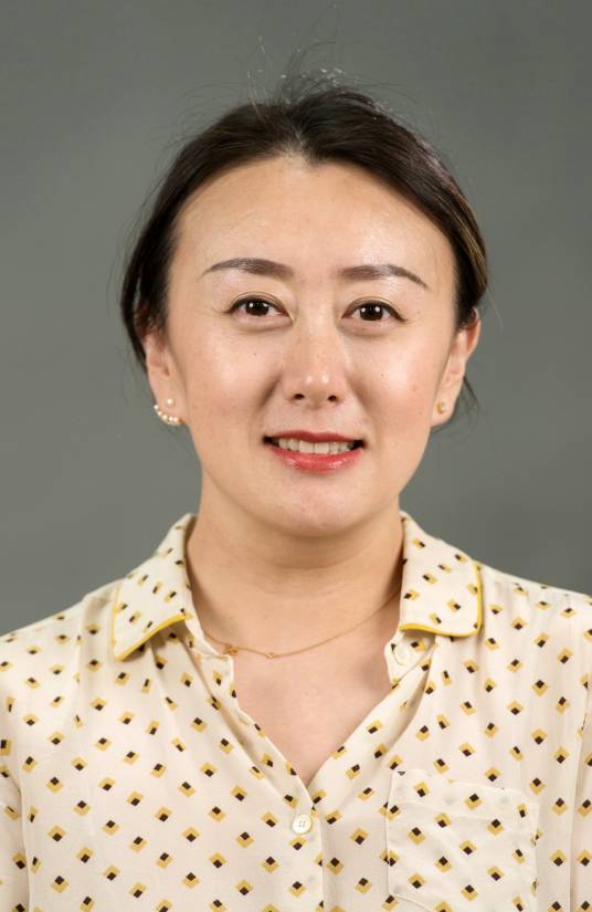 王莉莉（四川大学艺术学院教师）