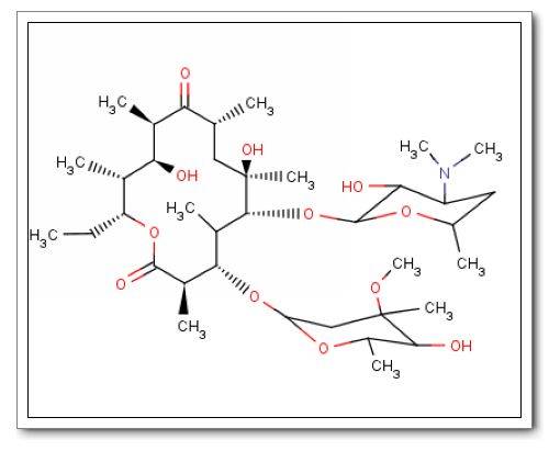 大环内酯类抗生素