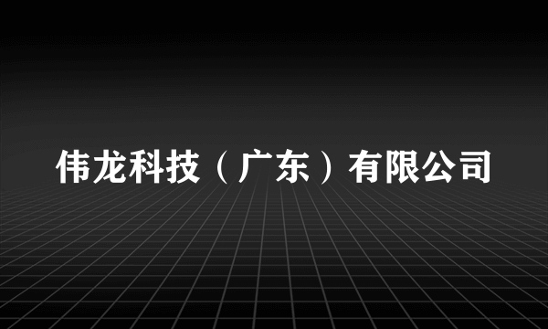 伟龙科技（广东）有限公司