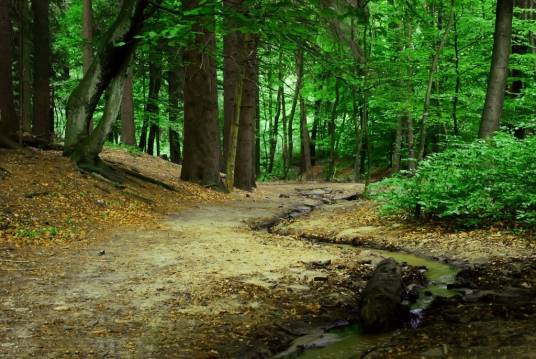 郑州滨黄河森林公园