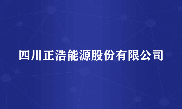 四川正浩能源股份有限公司