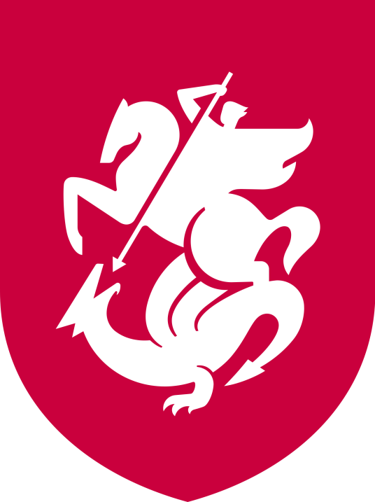 格鲁吉亚国家男子足球队