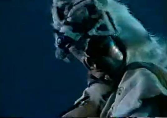 虎贲（霹雳布袋戏虚拟人物）