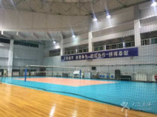 2013年上海女排邀请赛