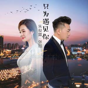 只为遇见你（朱俊霖和张旭演唱的歌曲）