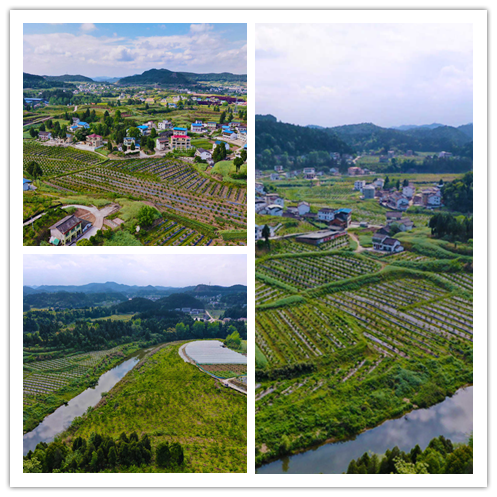 大王镇（四川省南充市南部县下辖镇）