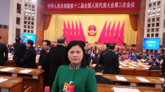 张群英（罗定市十二届全国人大代表）