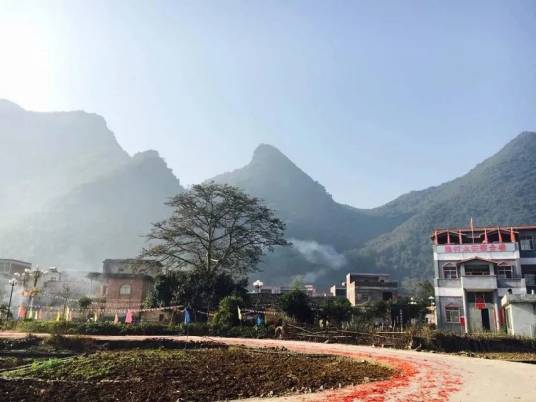 陈村（广西壮族自治区贵港市樟木镇下辖村）