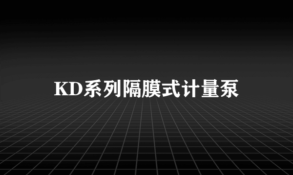 KD系列隔膜式计量泵