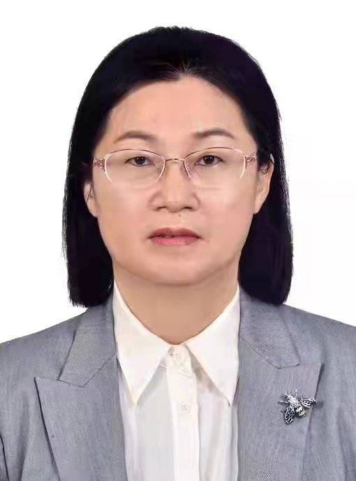 曾海燕（海南省澄迈县政府党组副书记，海南老城科技新城管委会常务副主任（正处级））