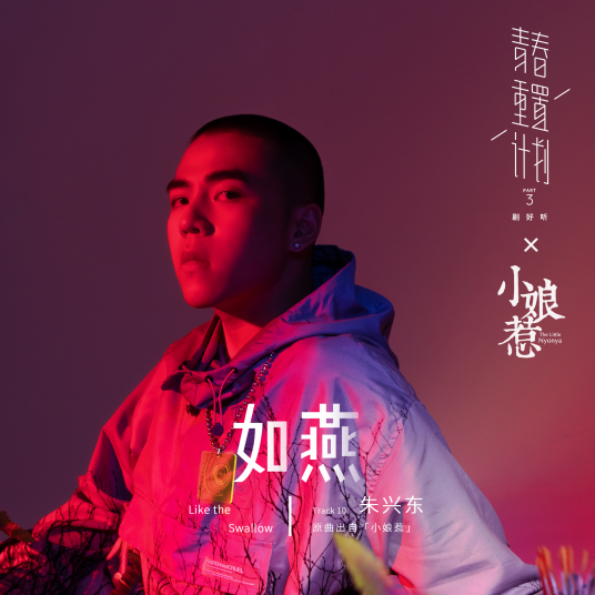 如燕（朱兴东翻唱歌曲）