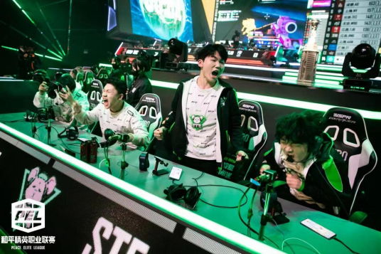 STE（PEL和平精英职业战队）
