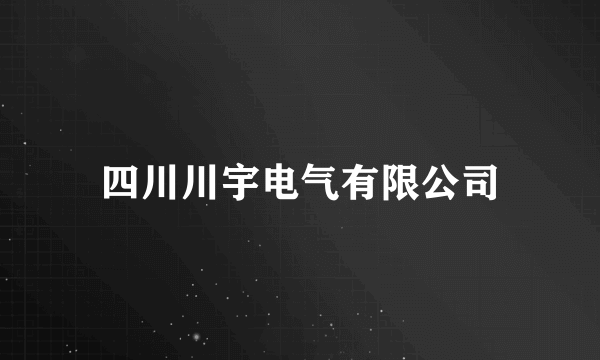 四川川宇电气有限公司